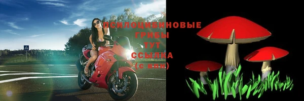 спиды Алексин