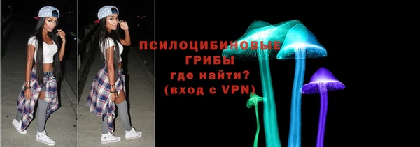 дмт Алексеевка