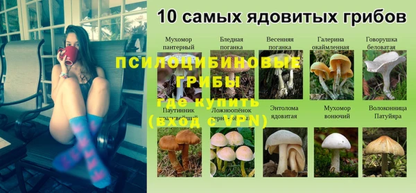 спиды Алексин