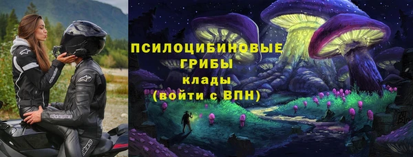 бутират Алзамай
