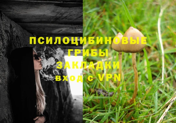 бутират Алзамай