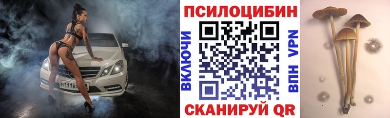 Галлюциногенные грибы прущие грибы  Динская 